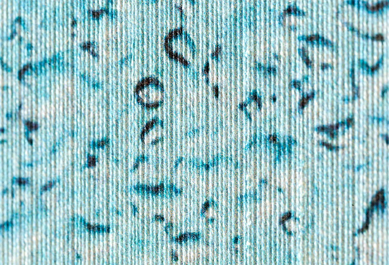 reference style plus detail povrchu textiln&iacute; tapety
